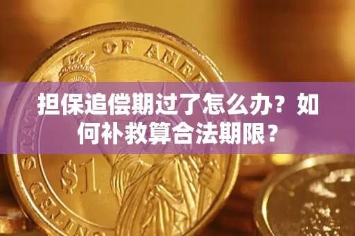 济南担保追偿期过了怎么办？如何补救算合法期限？