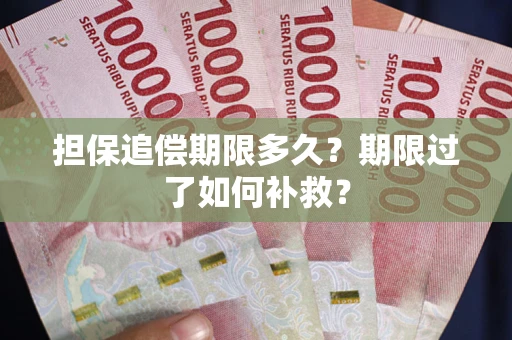 济南担保追偿期限多久？期限过了如何补救？