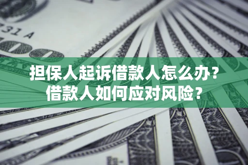济南担保人起诉借款人怎么办？借款人如何应对风险？