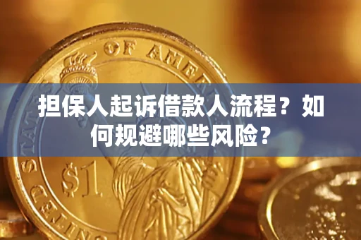 济南担保人起诉借款人流程？如何规避哪些风险？