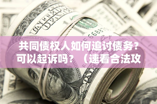 济南共同债权人如何追讨债务？可以起诉吗？（速看合法攻略）